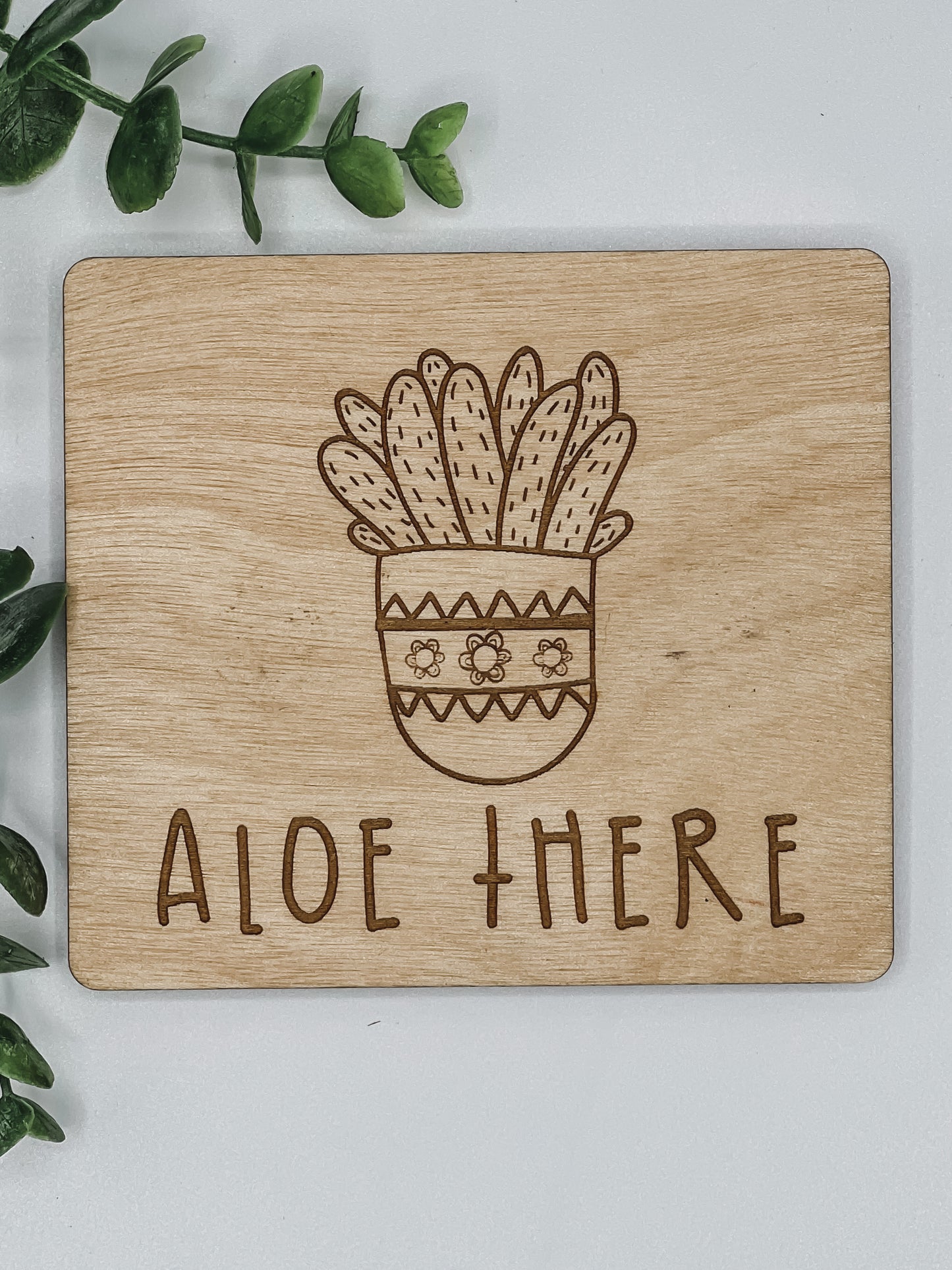Aloe There
