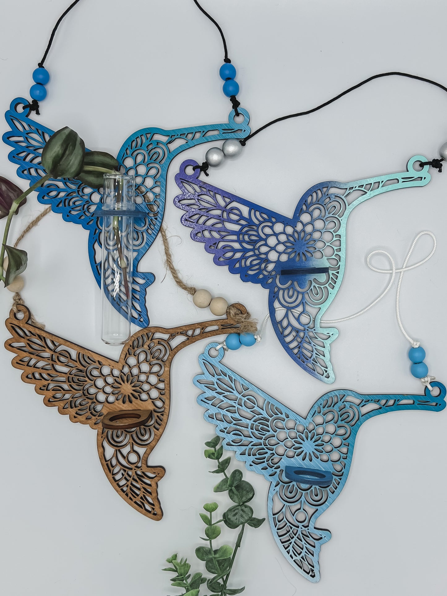 Hummingbird Propagation Station