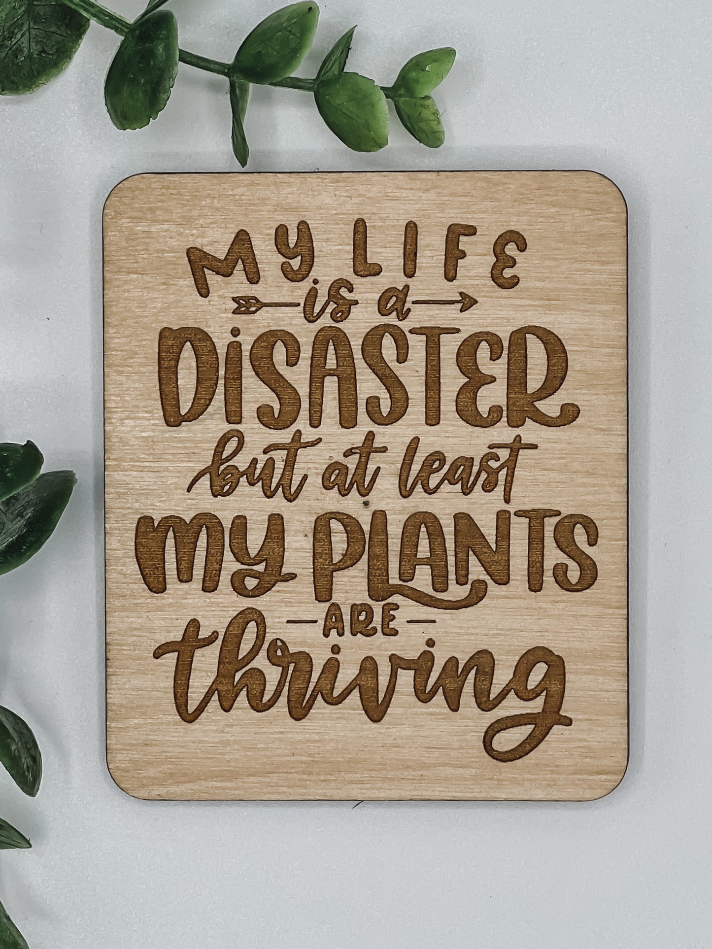 My Life is a Disaster