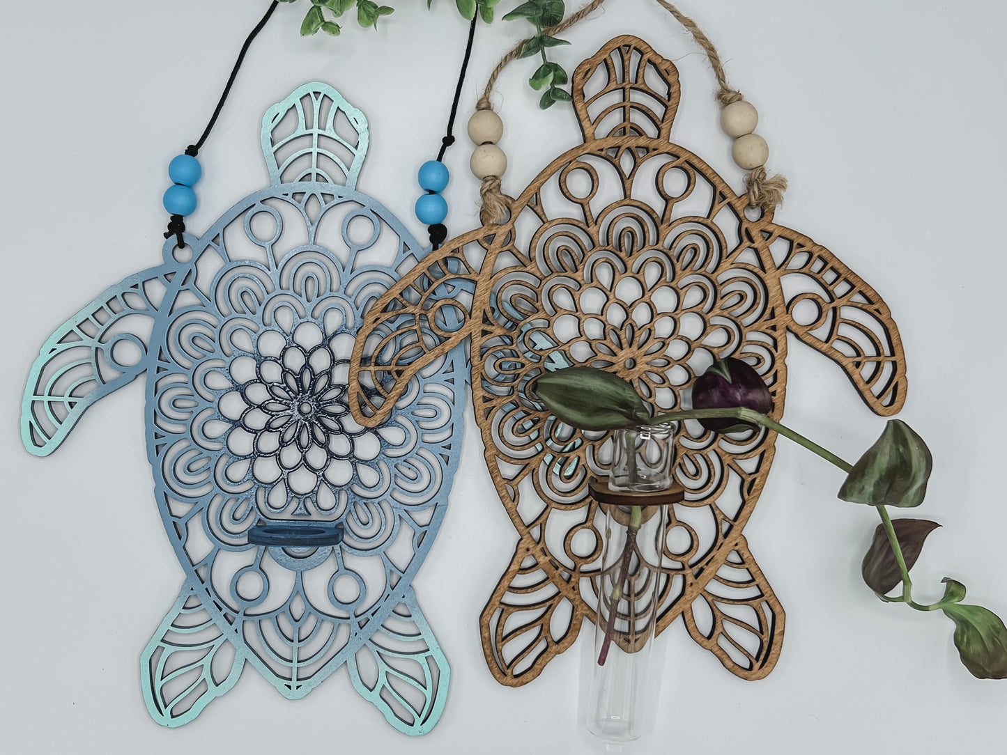 Turtle Propagation Station