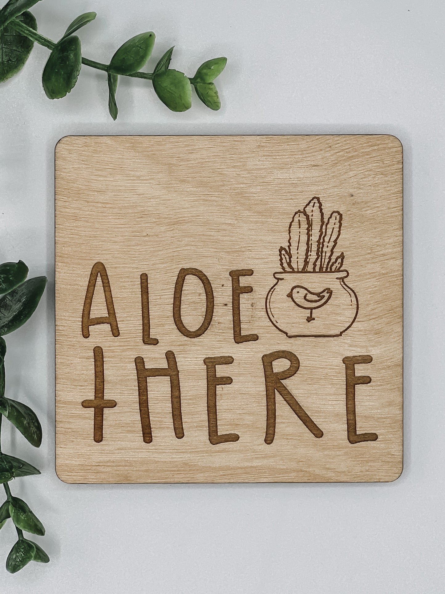 Aloe There