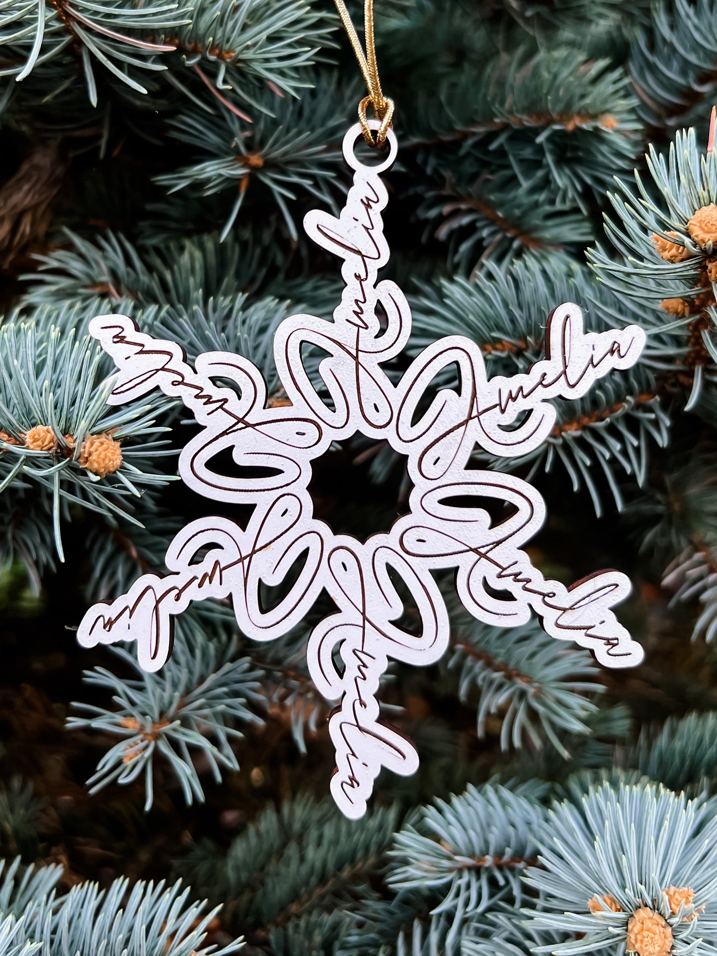 Personalized Snowflakes Name Ornament