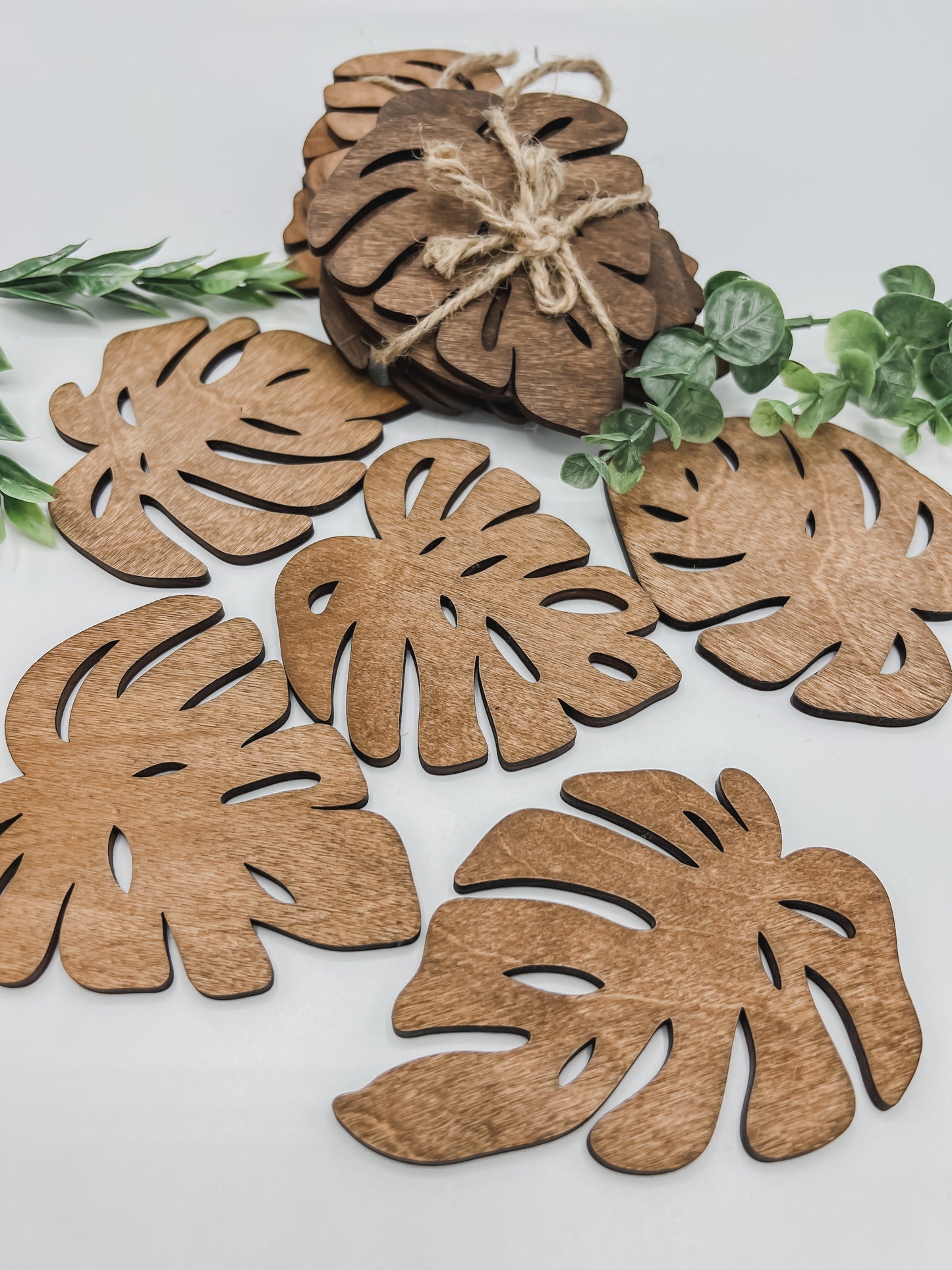 Monstera Leaves Coasters