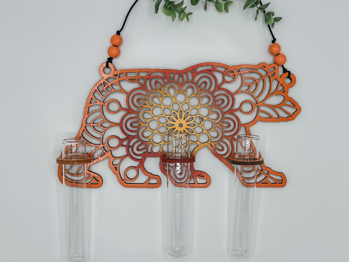 Bear Propagation Station