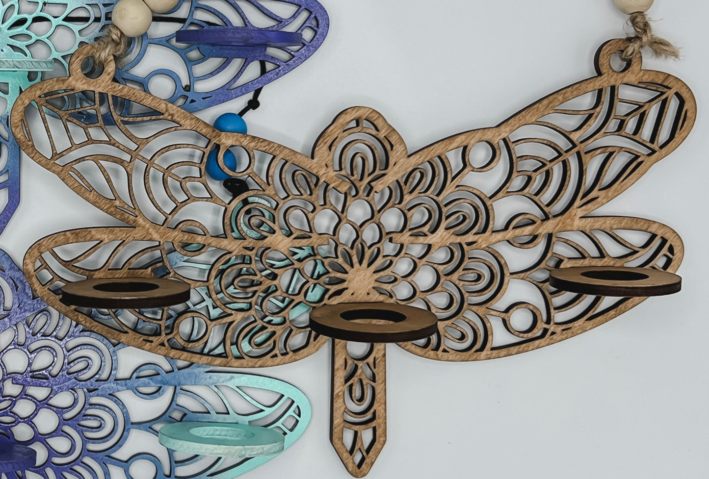 Dragonfly Propagation Station