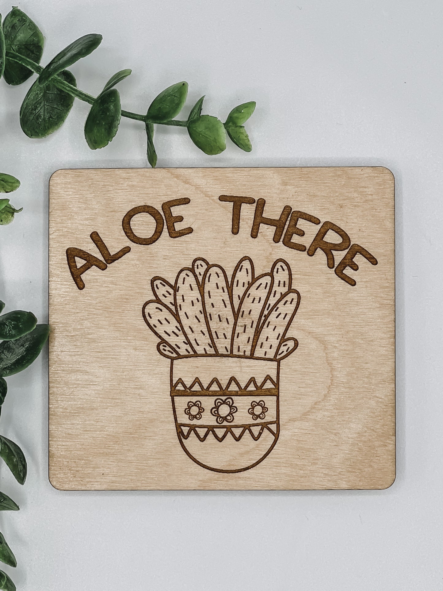 Aloe There