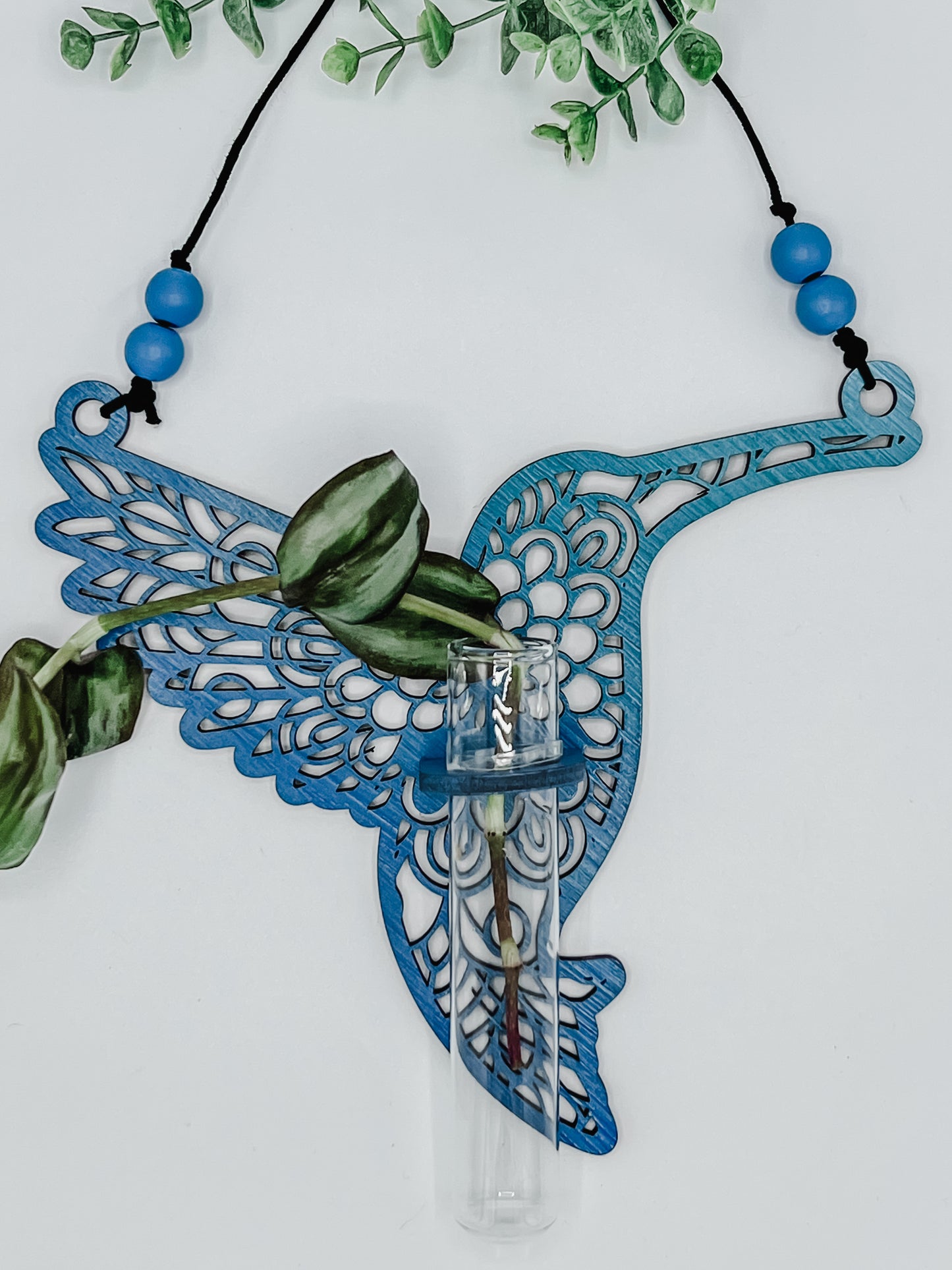 Hummingbird Propagation Station