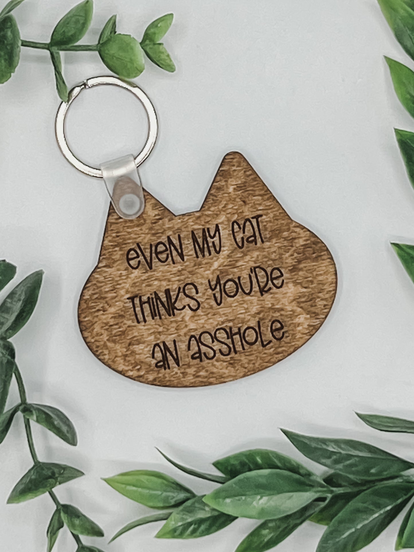 Even my cat thinks you’re an asshole