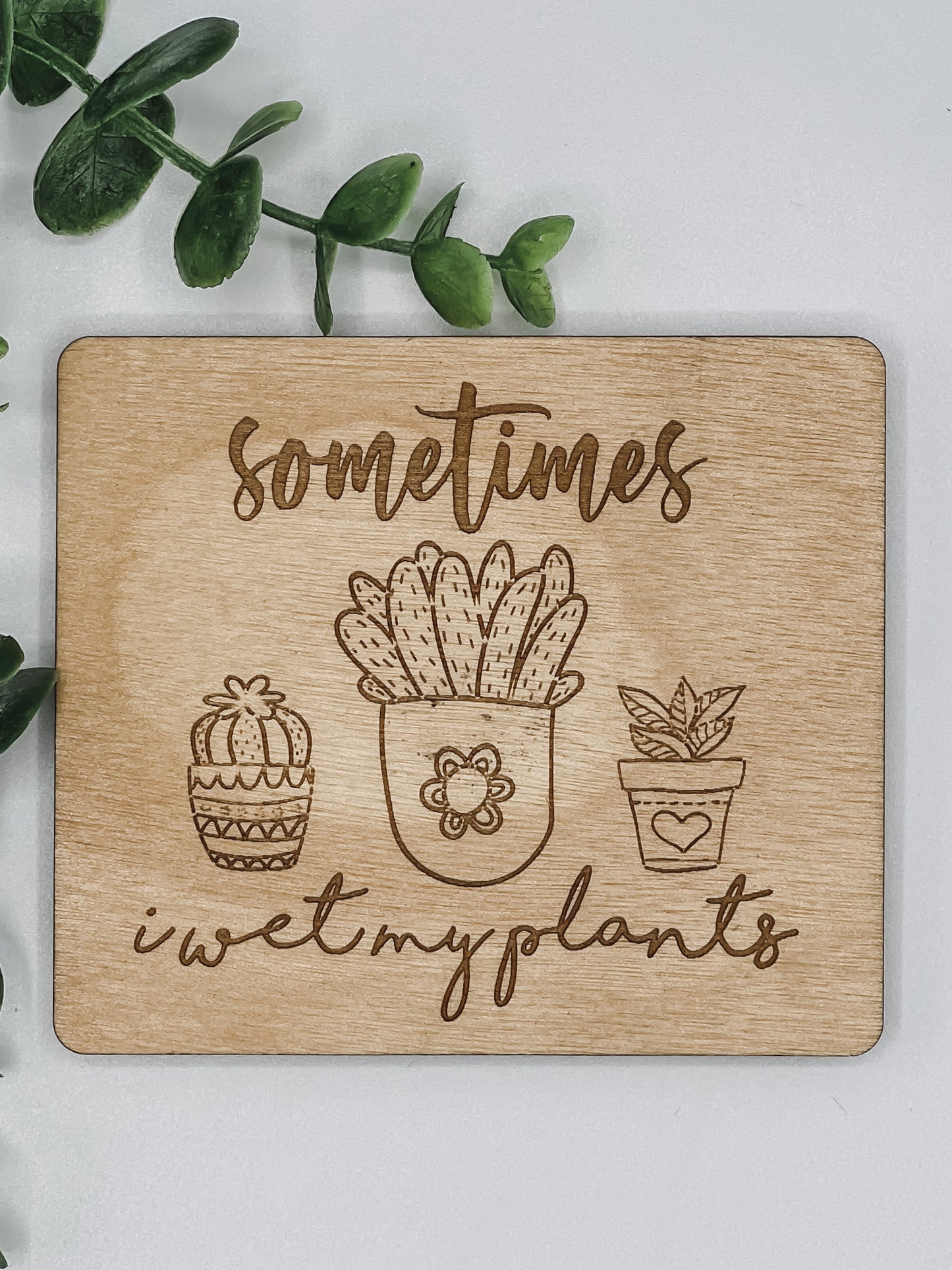 Sometimes I wet my plants