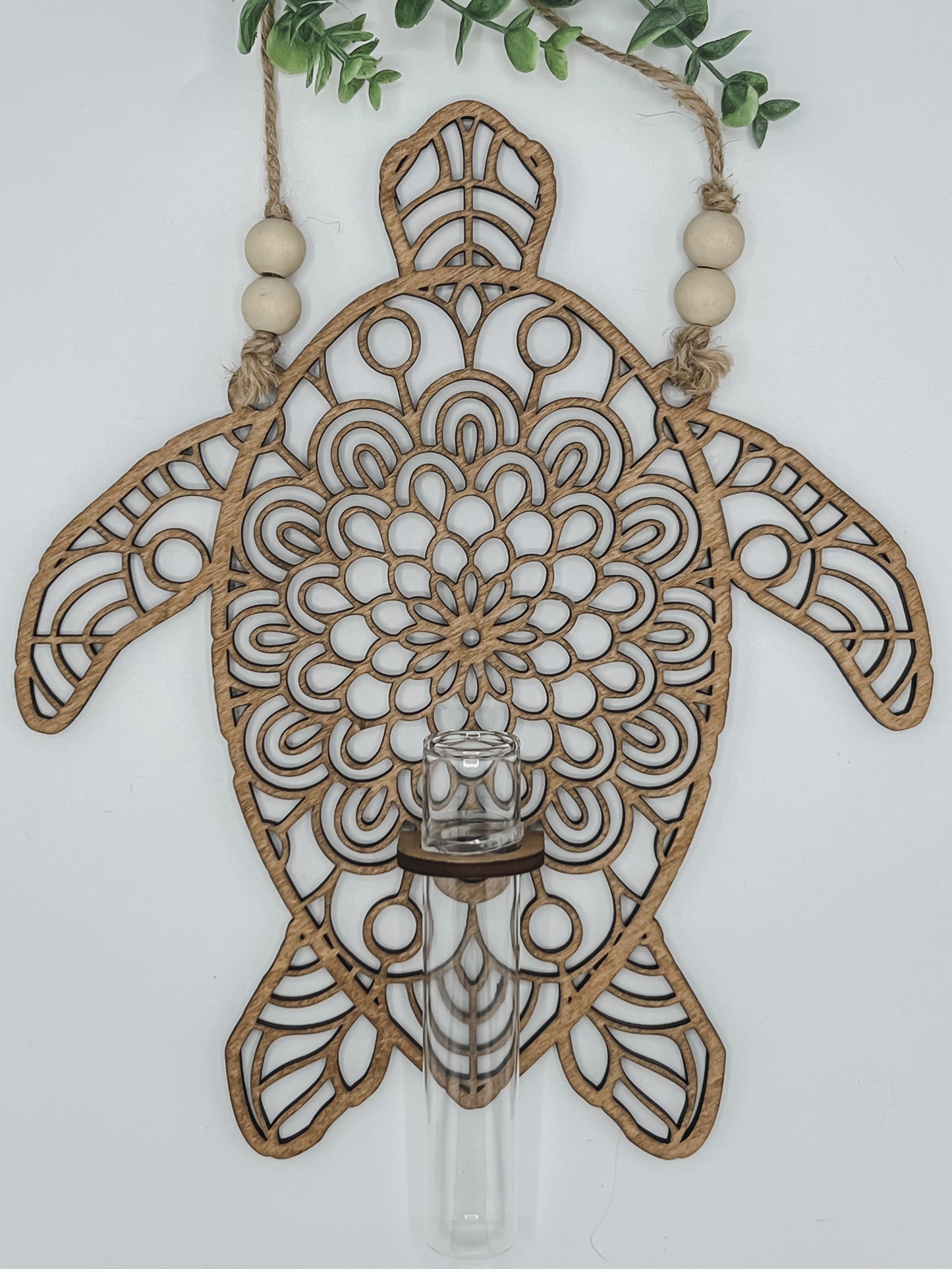 Turtle Propagation Station