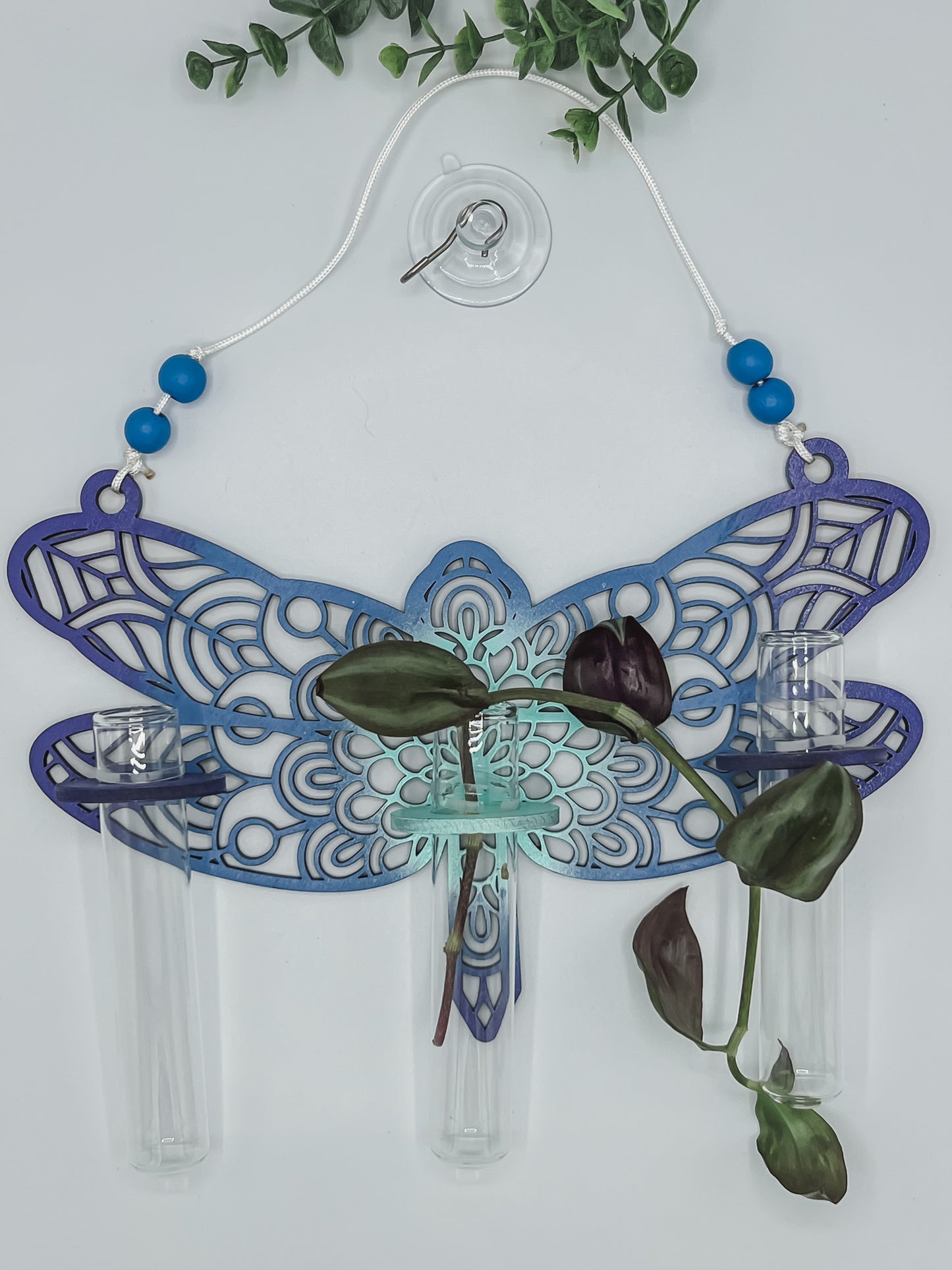 Dragonfly Propagation Station