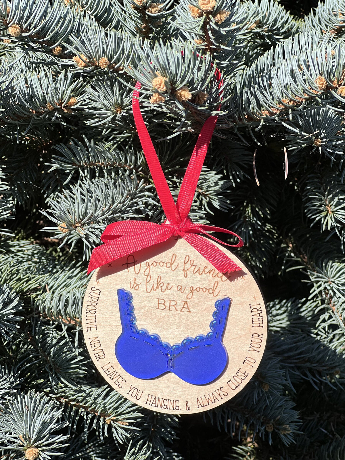 Friends are like bras ornament in blue