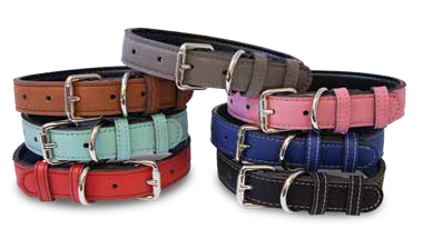 Personalized Pet Collar – Shawnee Elementary Fundraiser
