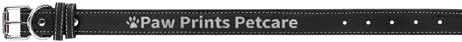 Personalized Pet Collar – Shawnee Elementary Fundraiser