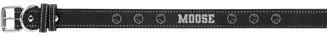 Personalized Pet Collar – Shawnee Elementary Fundraiser
