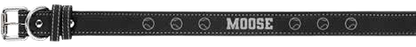 Personalized Pet Collar – Shawnee Elementary Fundraiser