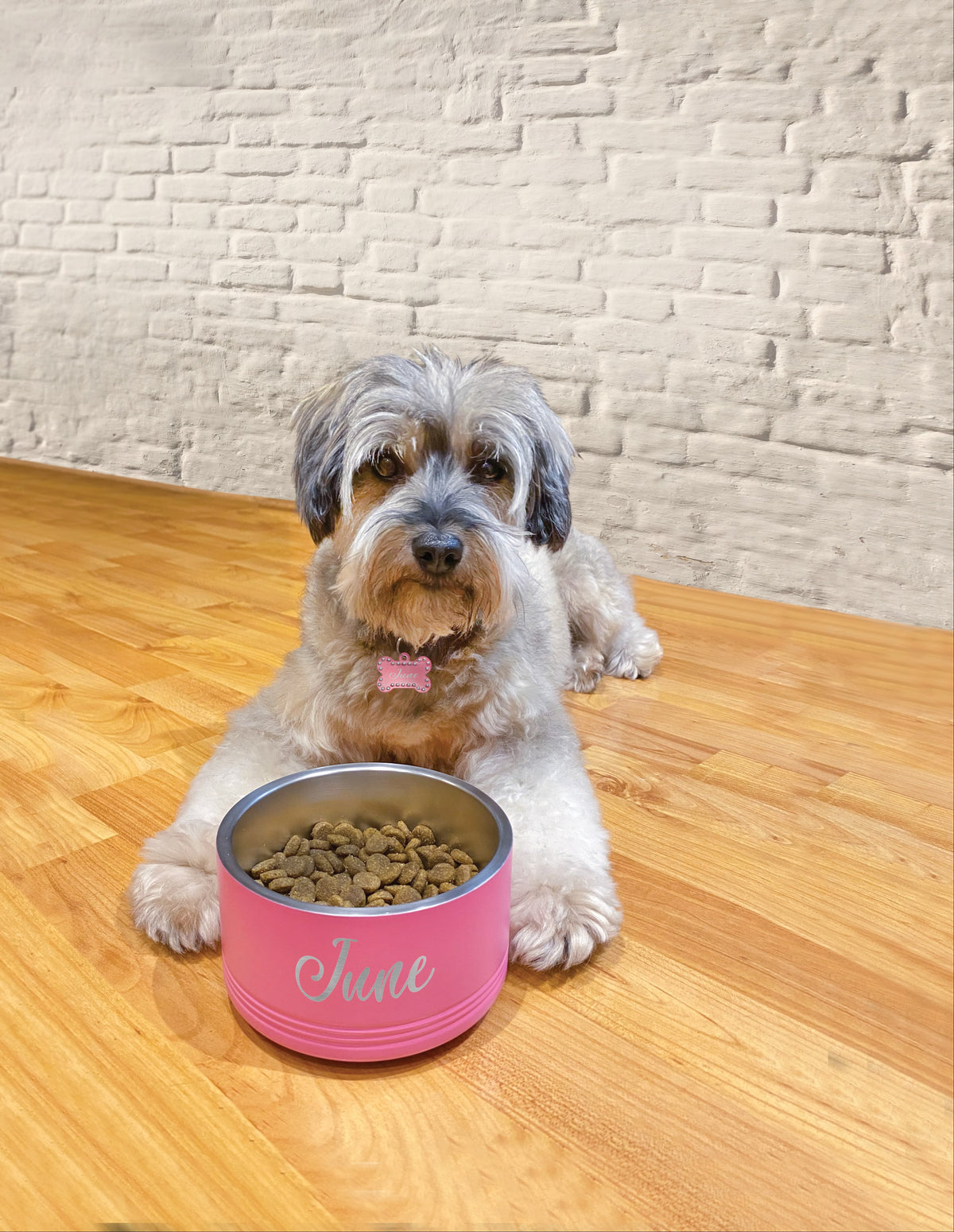 Personalized Pet Bowl – Shawnee Elementary Fundraiser